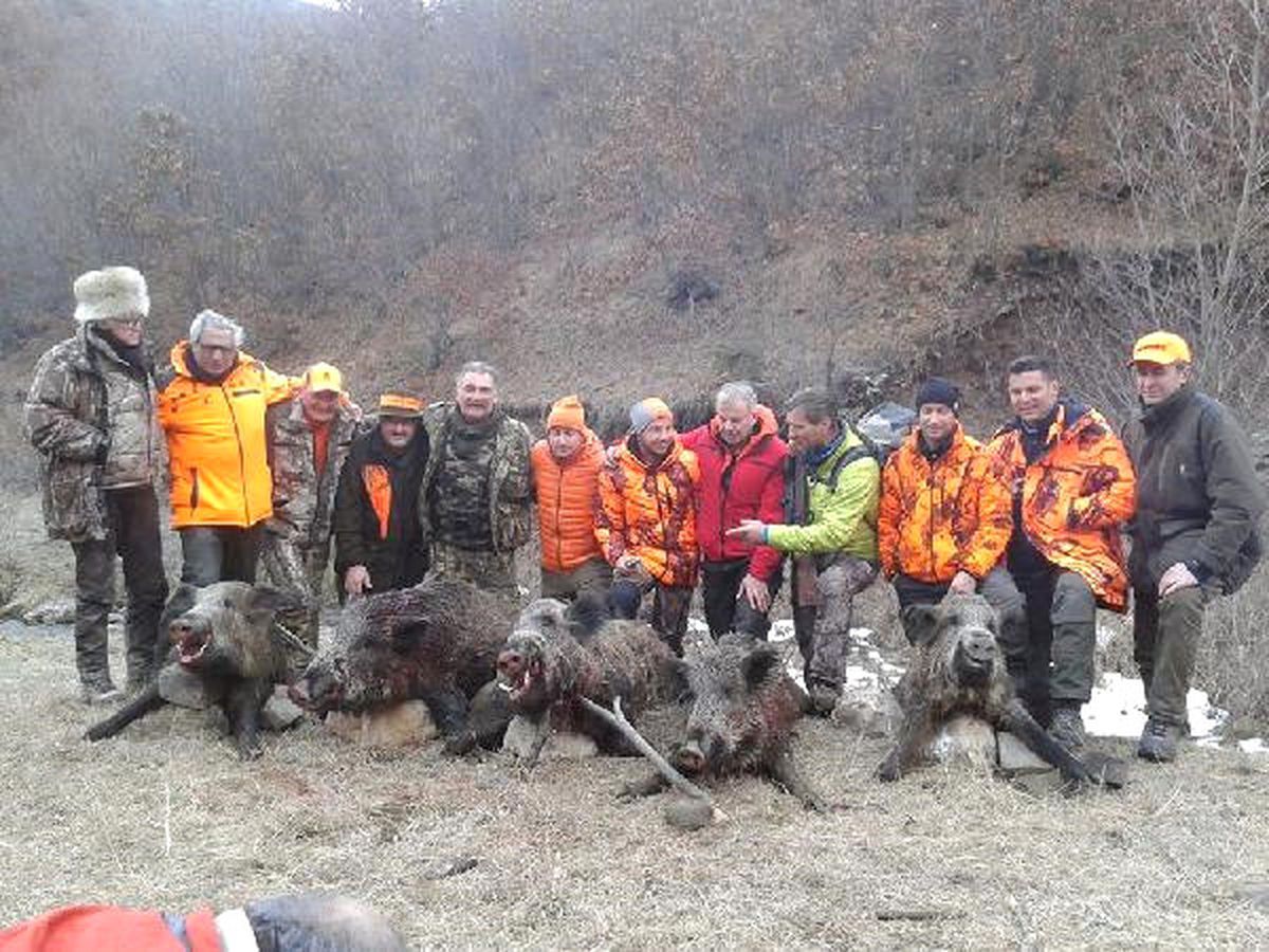 Domuz Safarisine Avrupalı Avcılar Büyük İlgi Gösteriyor