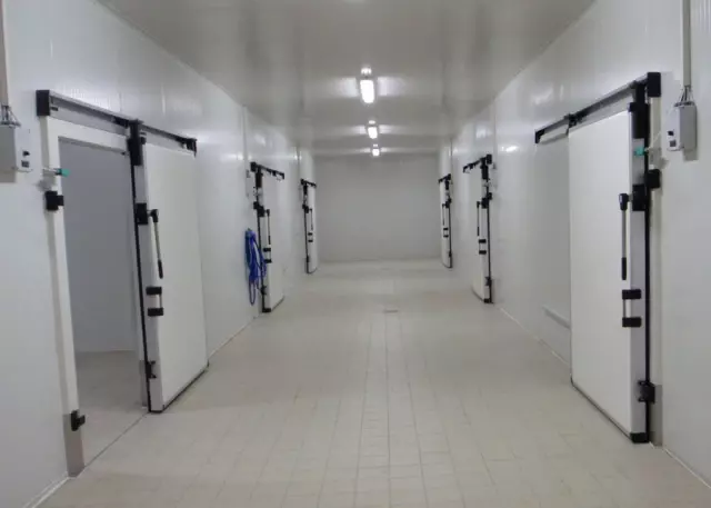Manisa'daki Tkdk Desteklemeleri