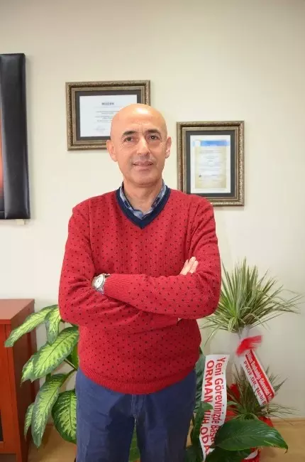 Sürmene'deki Orman Yangını Uzmanlar Tarafından İncelenecek Sürmene'deki Orman Yangını Uzmanlar Tarafından İncelenecek