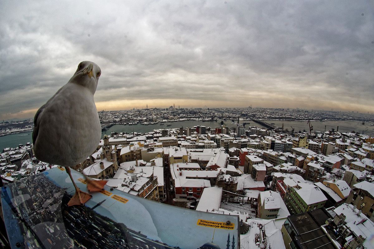 Kar İstanbul'u Ne Zaman Terk Edecek