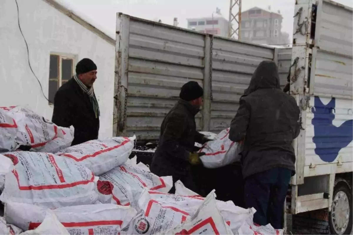Varto'da Kömür Dağıtımı