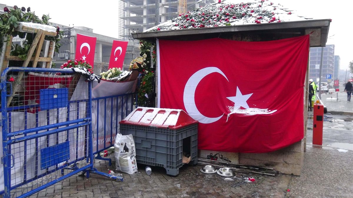 Fethi Sekin'in Köpeği İçin Kulübe Koydular, Yine de Yerini Bırakmadı