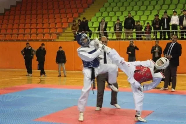 Malatyalı Taekwondocular Dereceyle Döndüler Malatyalı Taekwondocular Dereceyle Döndüler