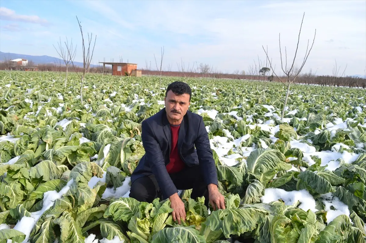 Manisa'daki Kar Yağışı