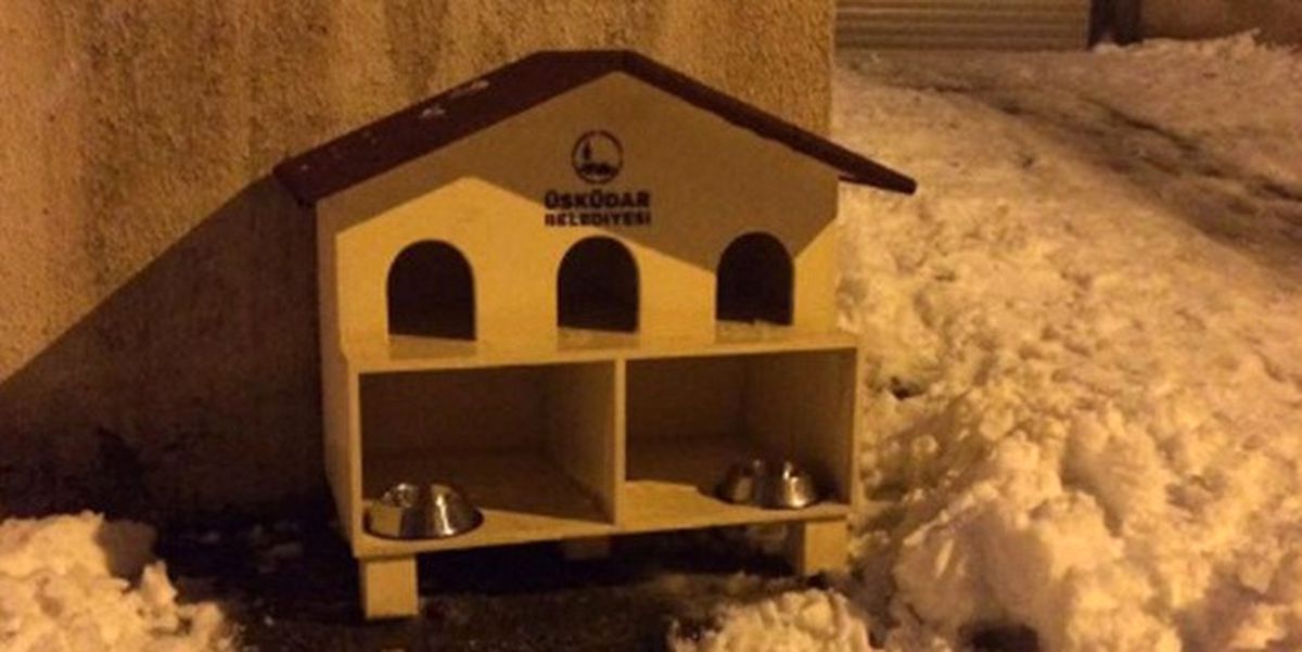 Üsküdar Belediyesi Tartışılan Görüntüler Sonrası Kedi Evi Kurdu