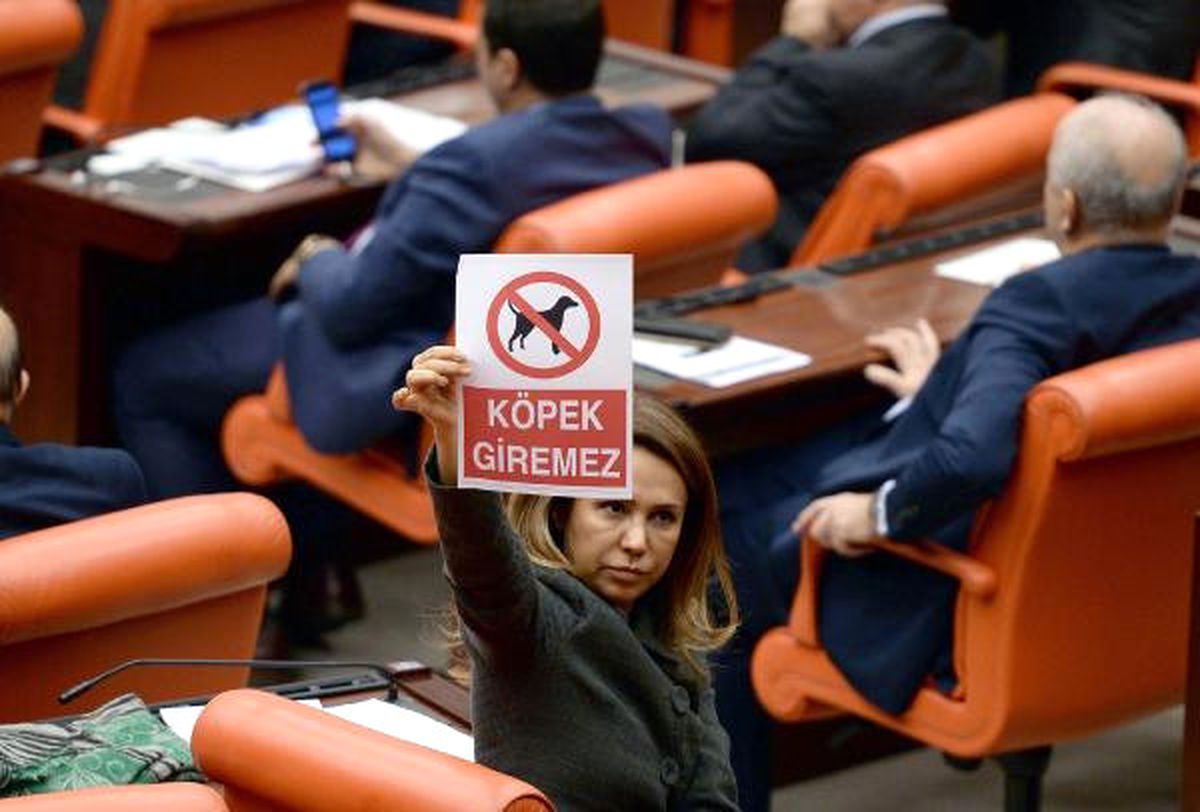 TBMM'de 'Köpek Giremez' Yazılı Afiş Gerginliği!