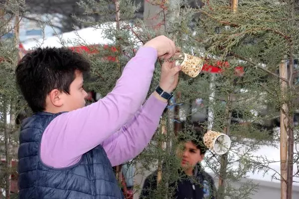 Minikler Kuşlar İçin Yaptıkları Yemlikleri Ağaçlara Astı Minikler Kuşlar İçin Yaptıkları Yemlikleri Ağaçlara Astı
