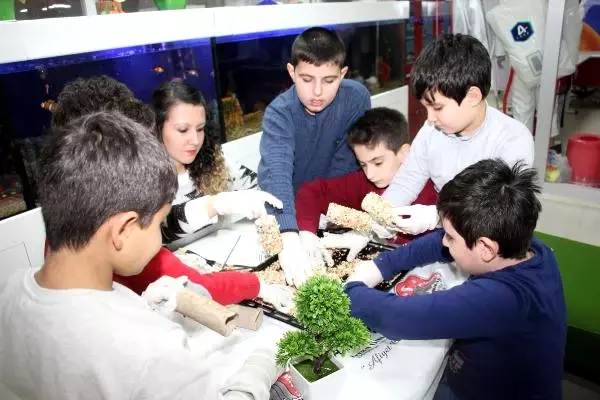 Minikler Kuşlar İçin Yaptıkları Yemlikleri Ağaçlara Astı Minikler Kuşlar İçin Yaptıkları Yemlikleri Ağaçlara Astı