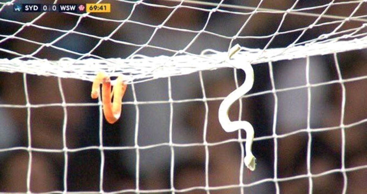 Taraftarlar, Ezeli Rakibe Giden Kalecilerinin Kalesine Yılan Fırlattı