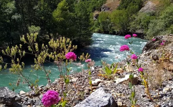 Tunceli Barosu'ndan Munzur Vadisi'nde Acele Kamulaştırmaya Tepki