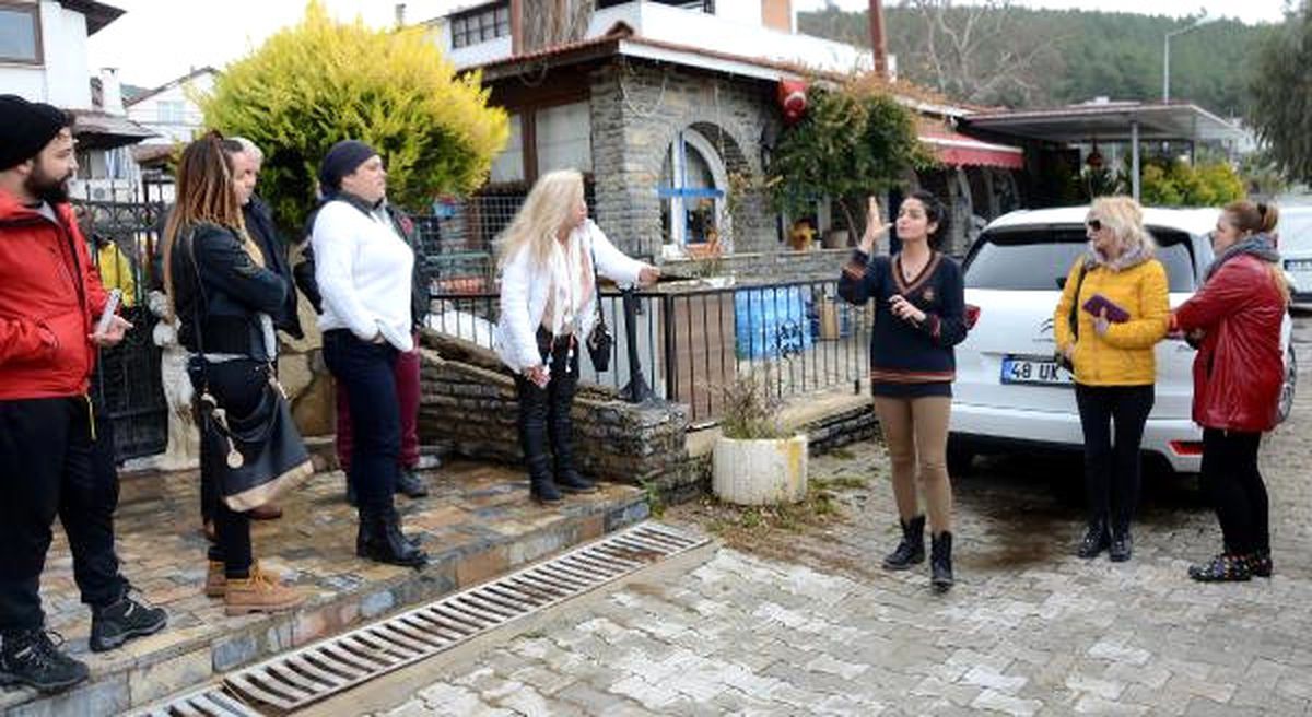 Bodrum'un Simgesi 12 Köpeğin Velayet Tartışması Karakolluk Etti