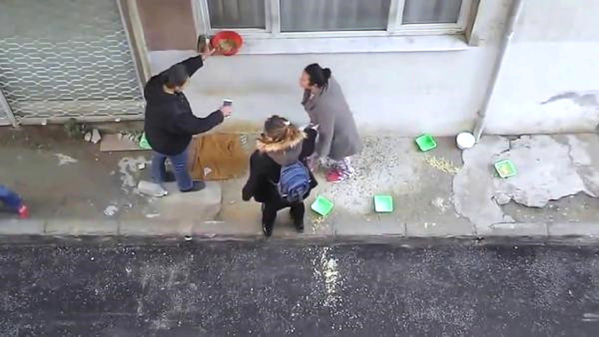 Sokakta Kedi Besleme Kavgası! Hayvanseverler Tepki Gösterdi