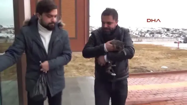 Burdur Buza Yapışmış Halde Bulunan Kedi Tedaviye Alındı Burdur Buza Yapışmış Halde Bulunan Kedi Tedaviye Alındı