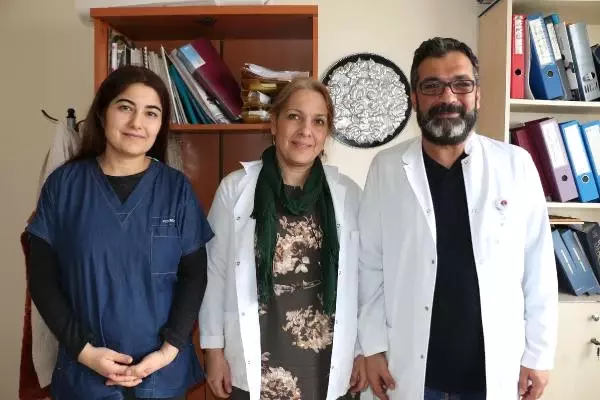 Üç Doçentten, Buzağı Ölümlerini Önleyecek Proje