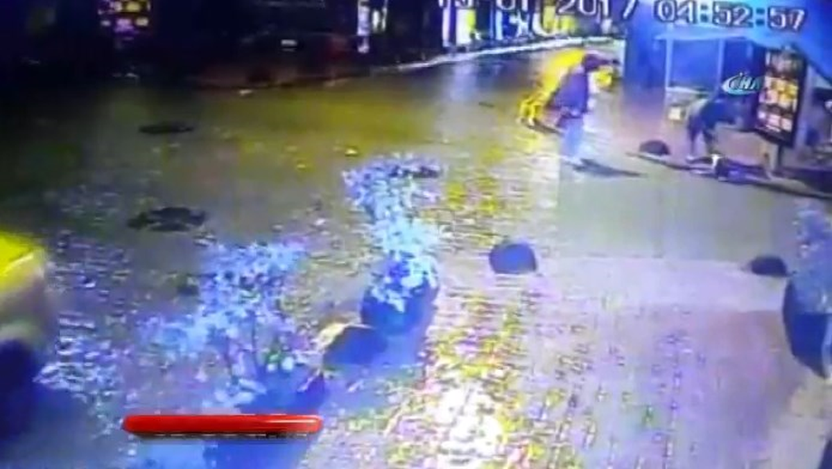İstanbul'da Reklam Panosundaki Elektrik Akımına Kapılan Köpek Can Verdi