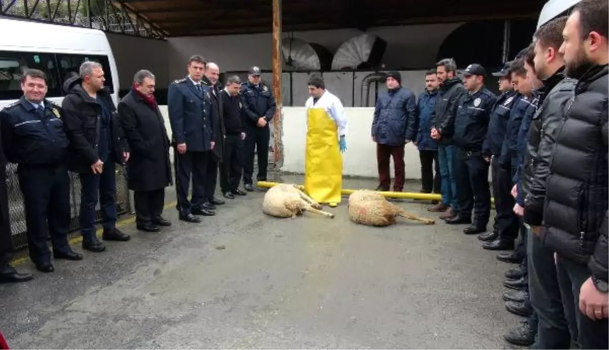 Beşiktaş'taki Terör Saldırısı