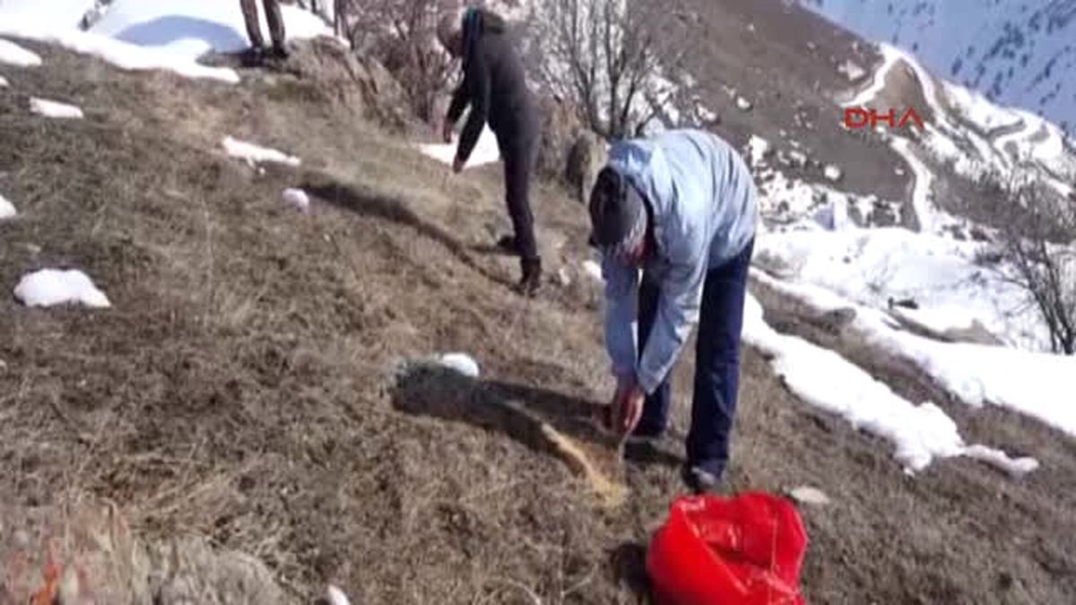Hakkari'deki Yaban Hayvanları Için Doğaya Yem Bırakıldı