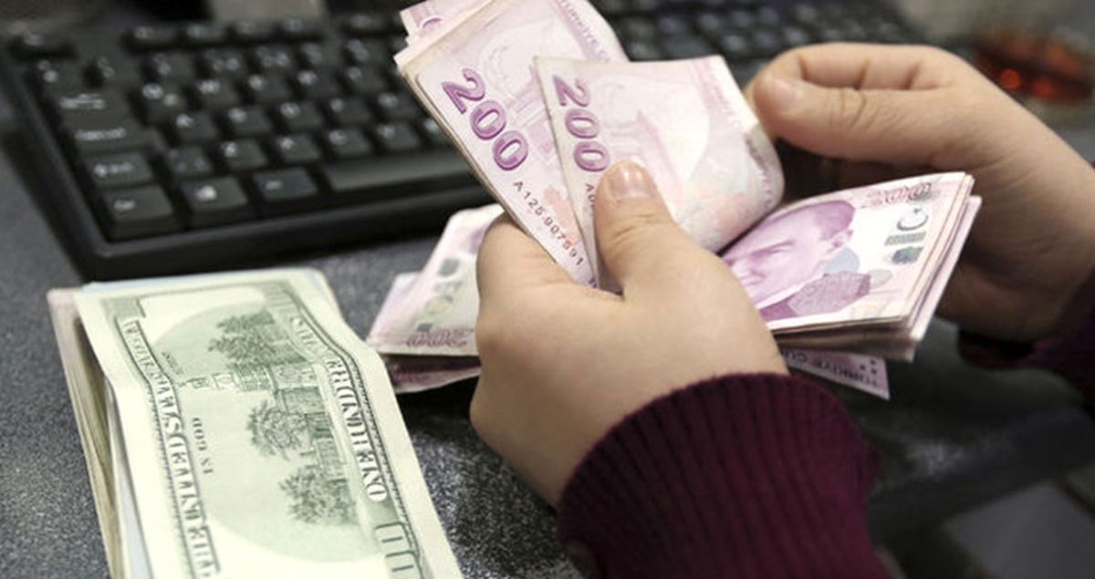 Kamu Kurumları Döviz Yerine TL Kullanabilecek