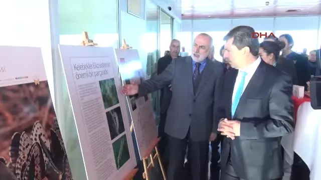 Tahtalı Zirvesinde Sergi