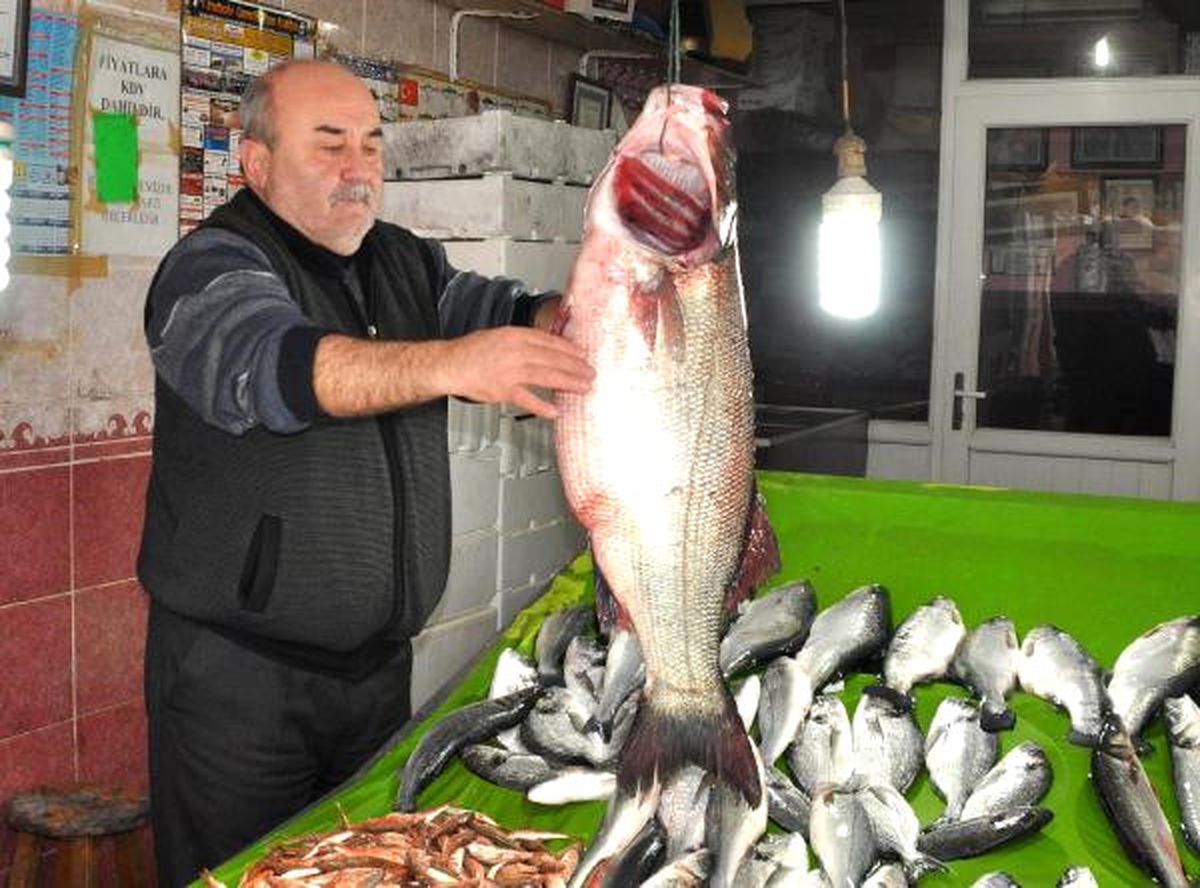 15 Kiloluk Levrekler Tezgaha Düştü