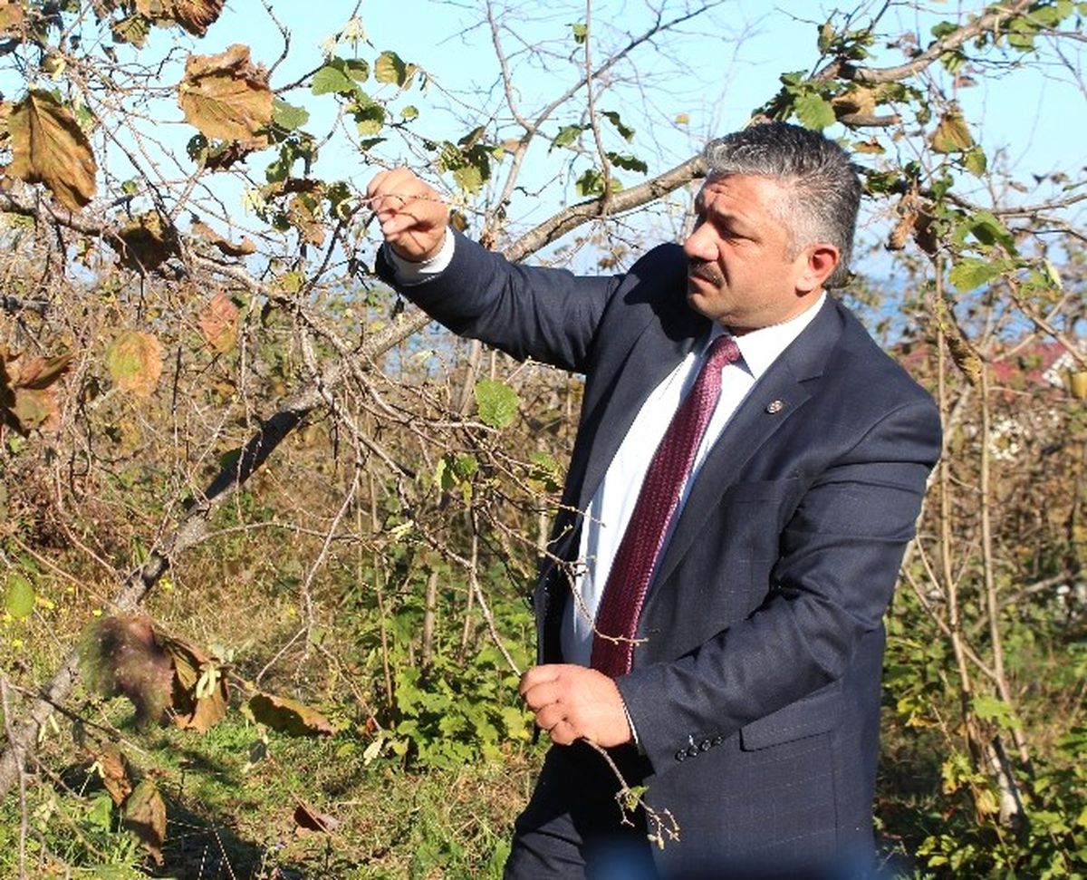 Üreticilere Tarım Sigortası Çağrısı