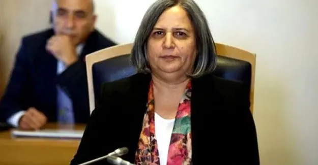 Kışanak ve Tuncel Hakkındaki Dava Kışanak ve Tuncel Hakkındaki Dava