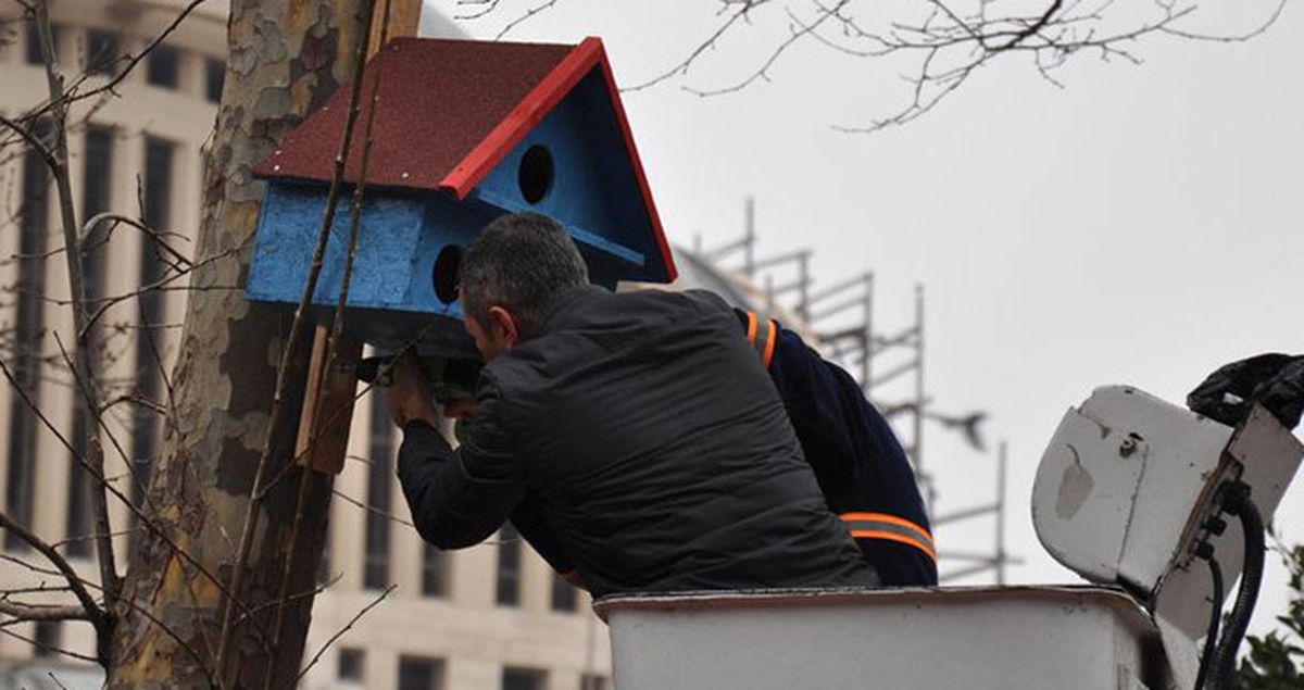 Avcılar'daki Parklara 'Kuş Evleri' Monte Edildi