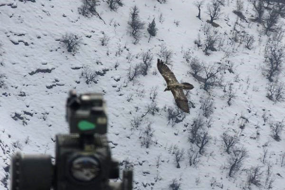 Bordo Bereliler PKK'nın Metina Kampına Sızdı: 57 Terörist Öldürüldü