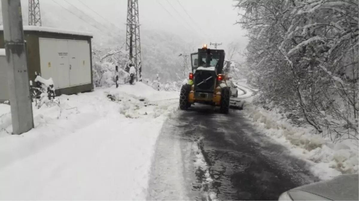 Ağrı'da Araçlar Çığda Mahsur Kaldı
