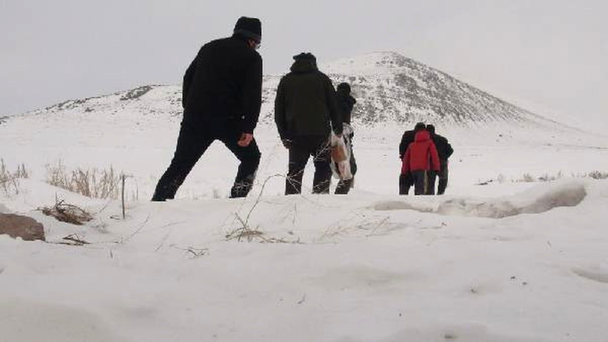 Ekipler, Kurtlar 'Köye İnmesin' Diye Doğaya Yiyecek Bıraktı