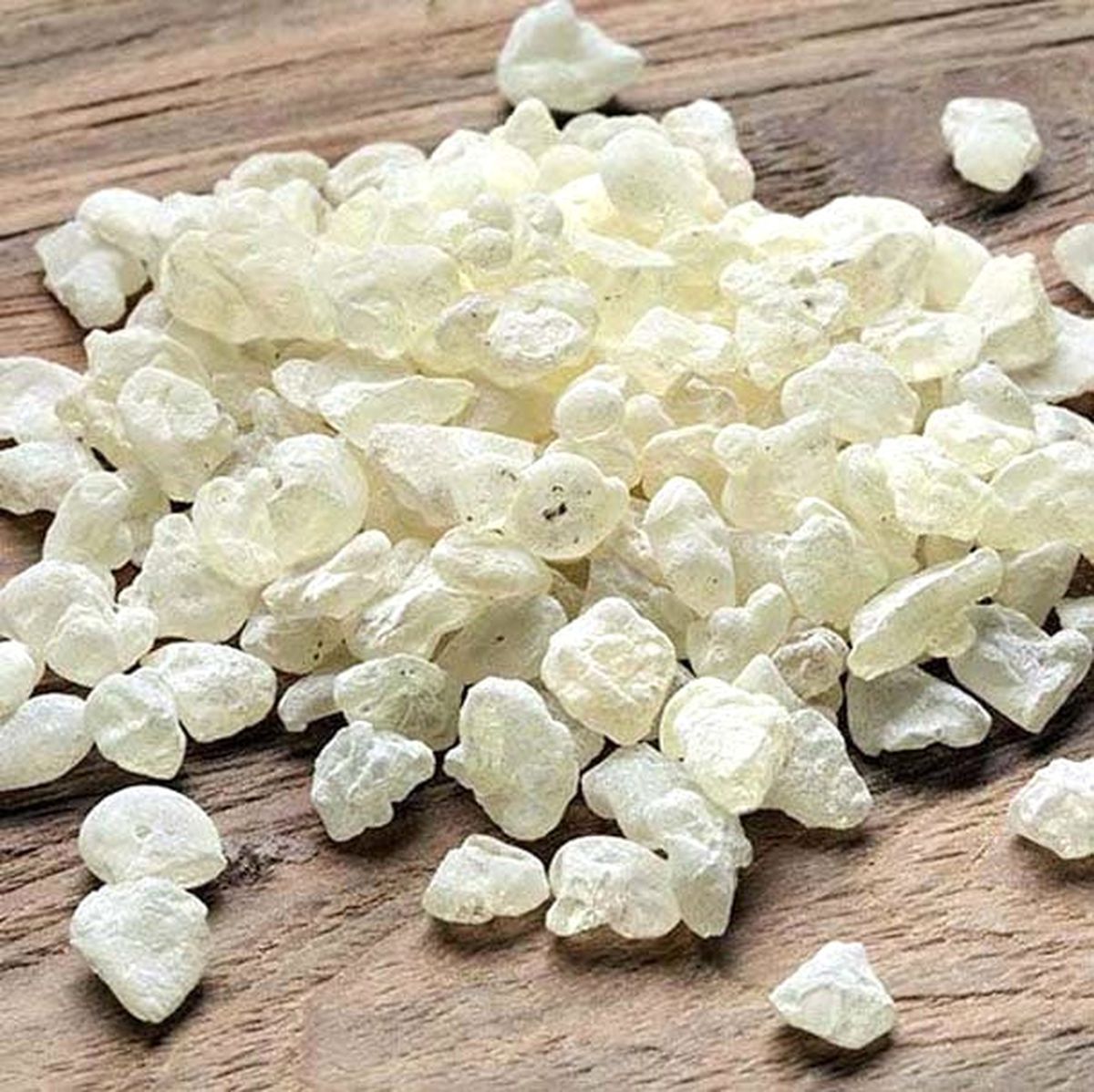 Damla Sakızı Yeni Gelir Kapısı Olacak