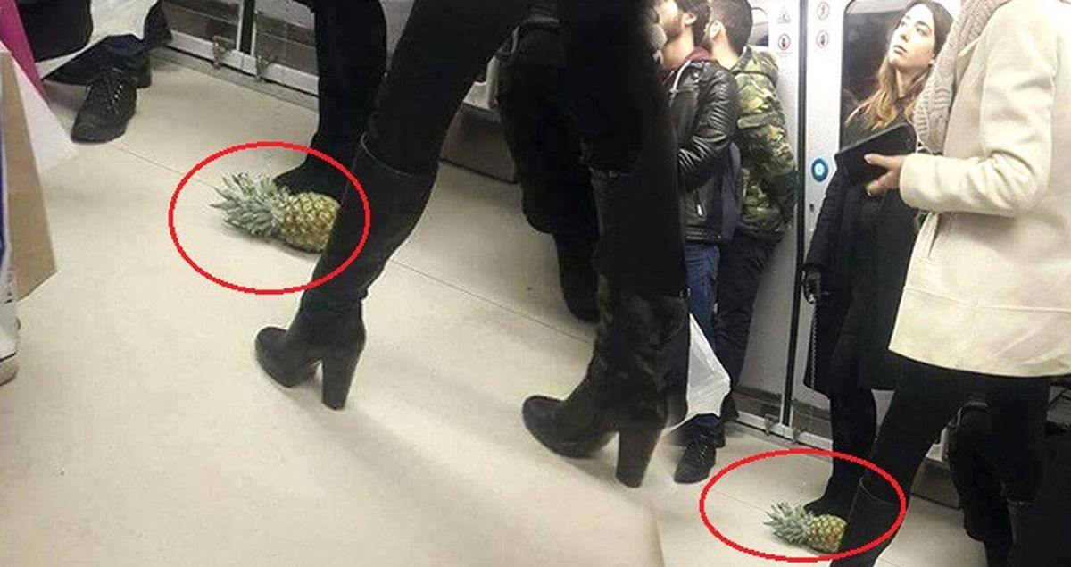 Ankara Metrosu'nda İlginç Görüntü! Zincir Takıp Ananasını Gezdirdi