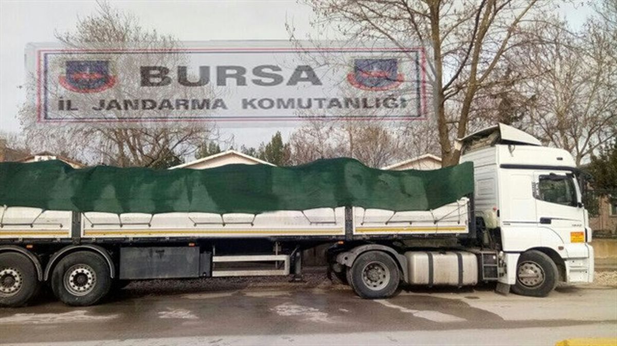 Bursa'da 20 Ton Kaçak Midye Ele Geçirildi