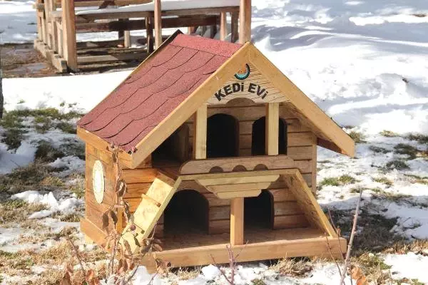 Finike Belediyesinden Park ve Bahçelere Kedi Evi Haberler