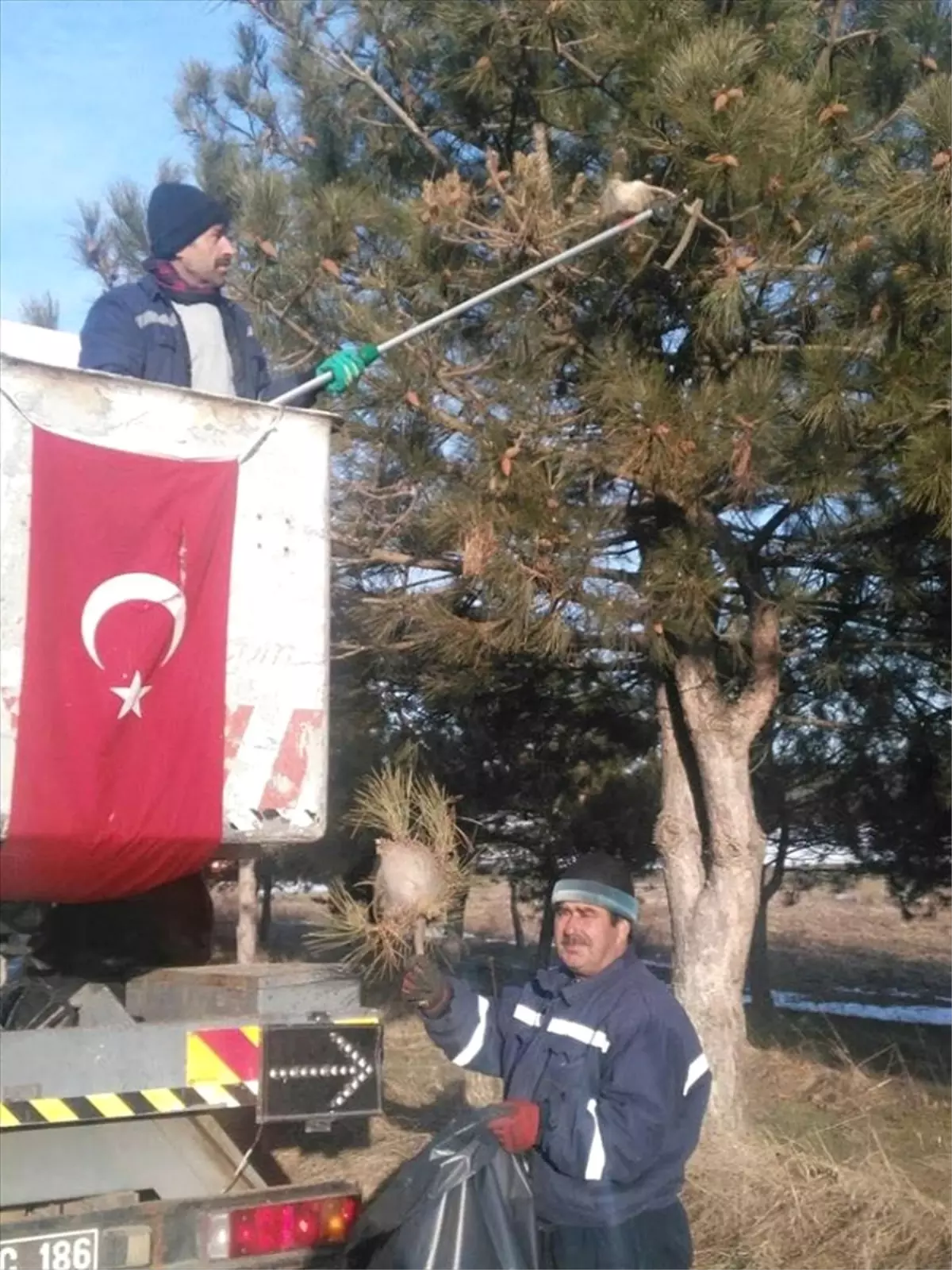 Ağaç Kurtlarına Karşı Mücadele