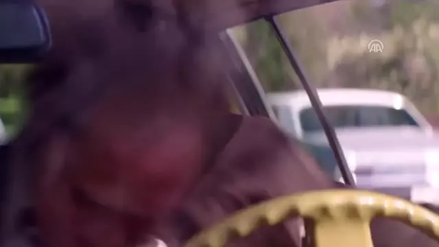 Sinema - Altın Sinema - Altın