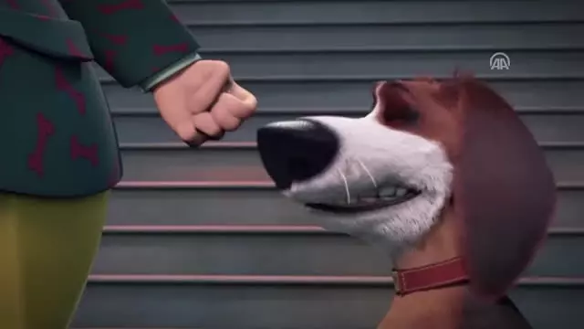 Sinema - Tüylü Kaçak Sinema - Tüylü Kaçak
