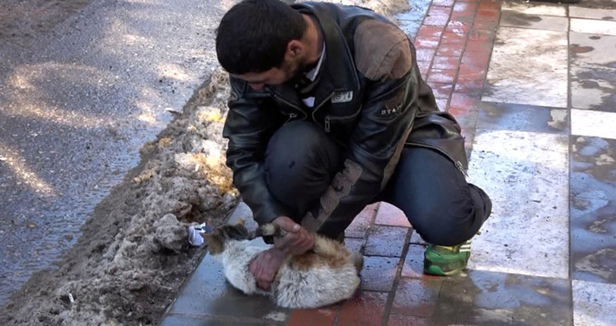 Sokak Ortasında Kediye Eziyet Amatör Kameralar Tarafından Kaydedildi