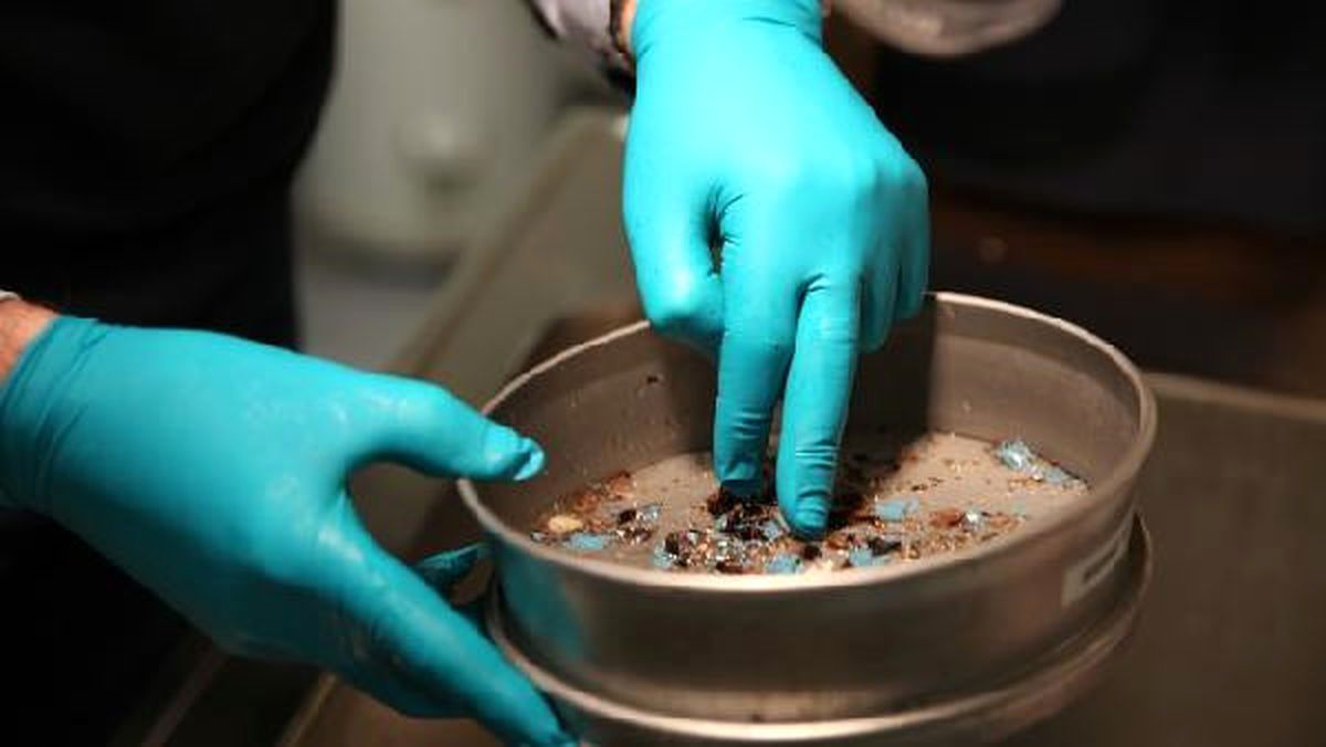 Korkunç Görüntü! Karaya Vuran Balinanın Midesinden 30 Plastik Poşet Çıktı