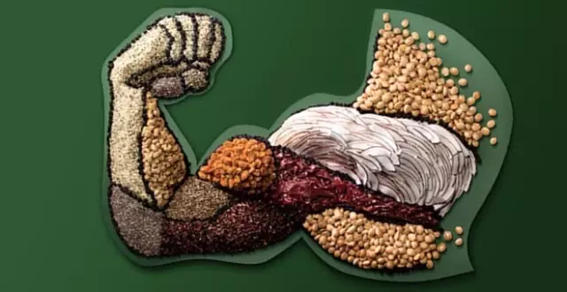 Sperm Kalitesini Arttıran Sağlıklı Besinler Nelerdir?