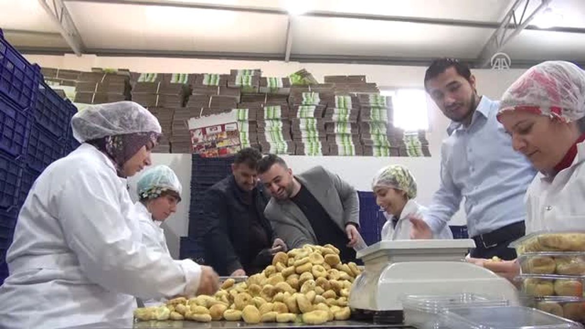 Suriyeli 3 Mühendis Aydın'da İncir Fabrikası Açtı