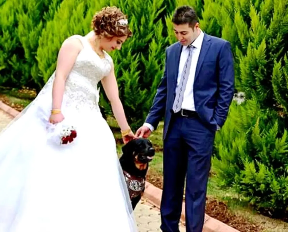 Düğününde Bile Yanından Ayırmadığı Köpeği Kayboldu