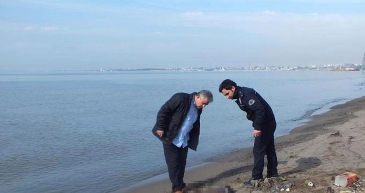 Gebze'de Sahile Vurmuş Erkek Cesedi Bulundu