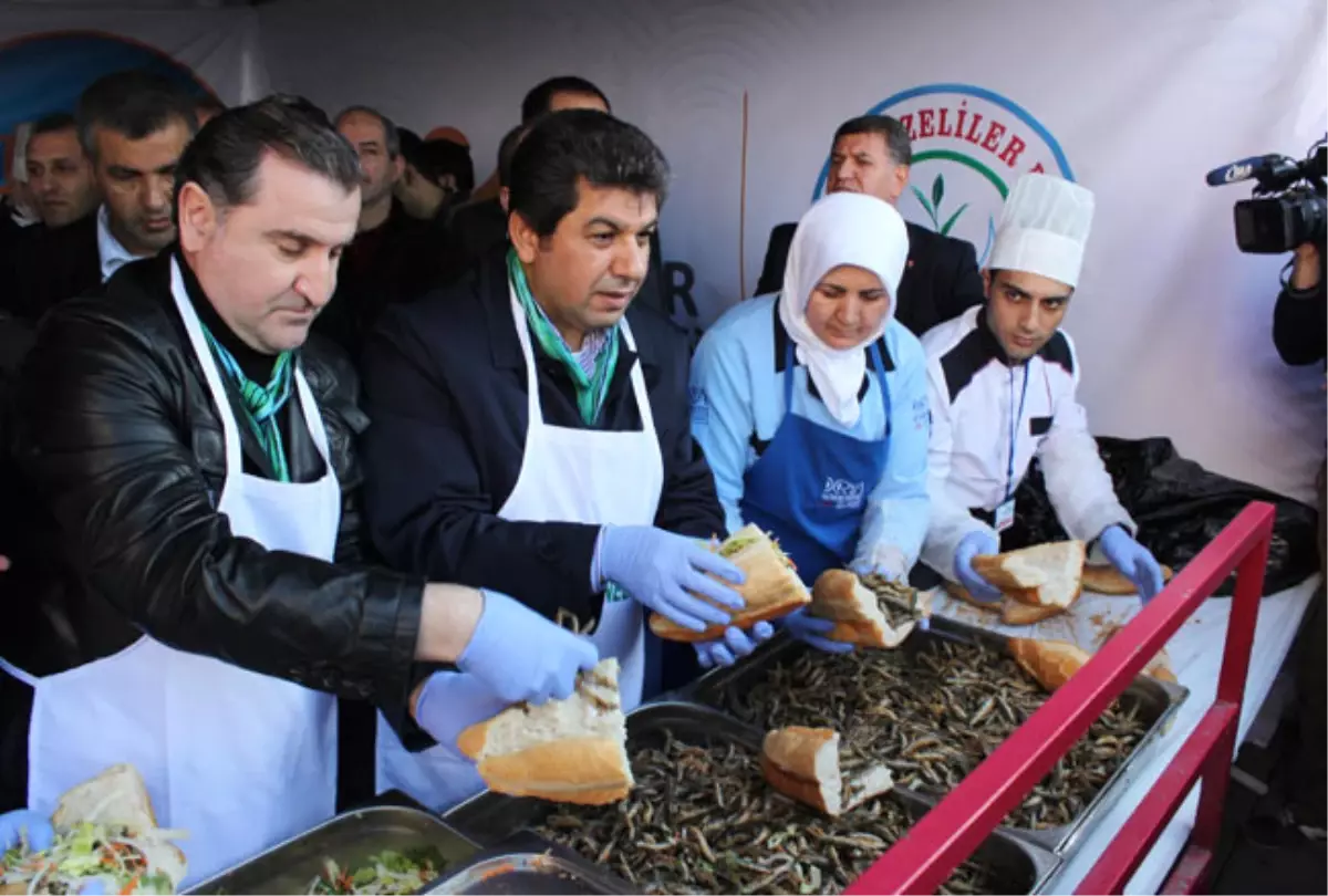 Kırıkkale'de Hamsi Şenliği