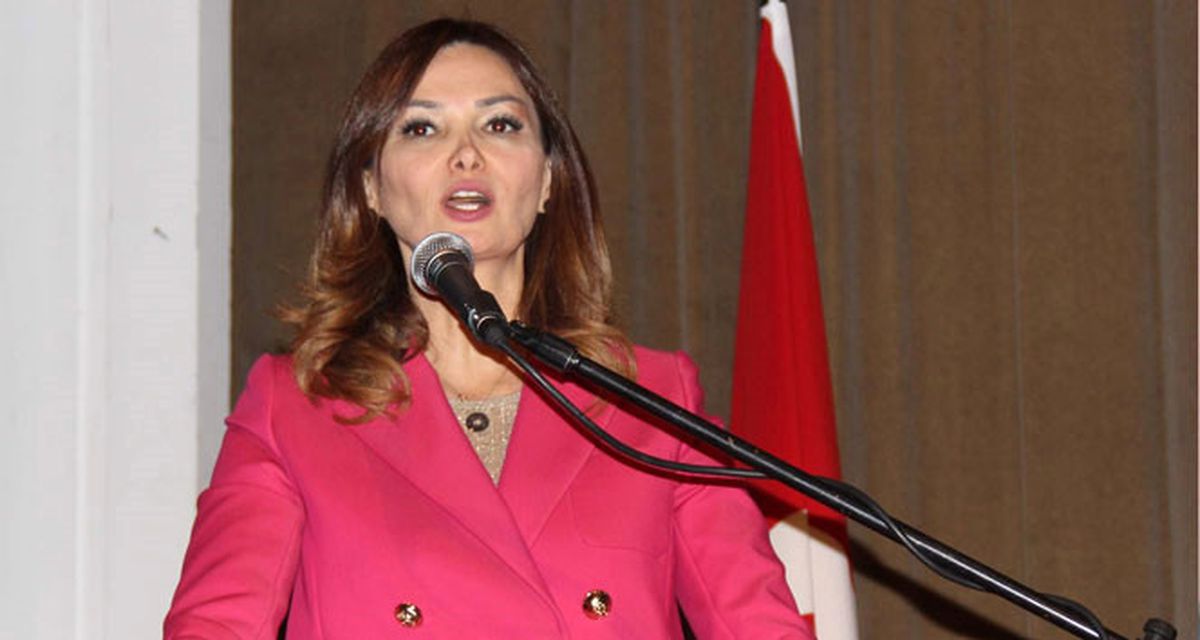 Paşayeva: Türkiye Karşıtı Harekette Bulunan Karşısında Bizi Bulur