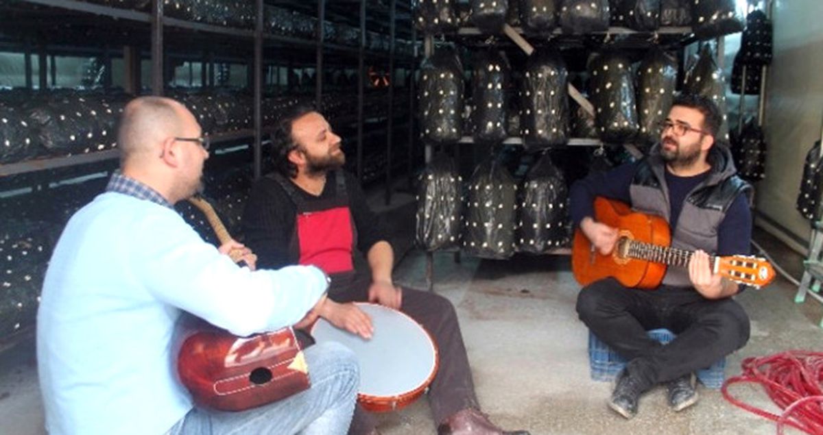 Müzikli Terapiyle İstiridye Mantarı Yetiştiriyor