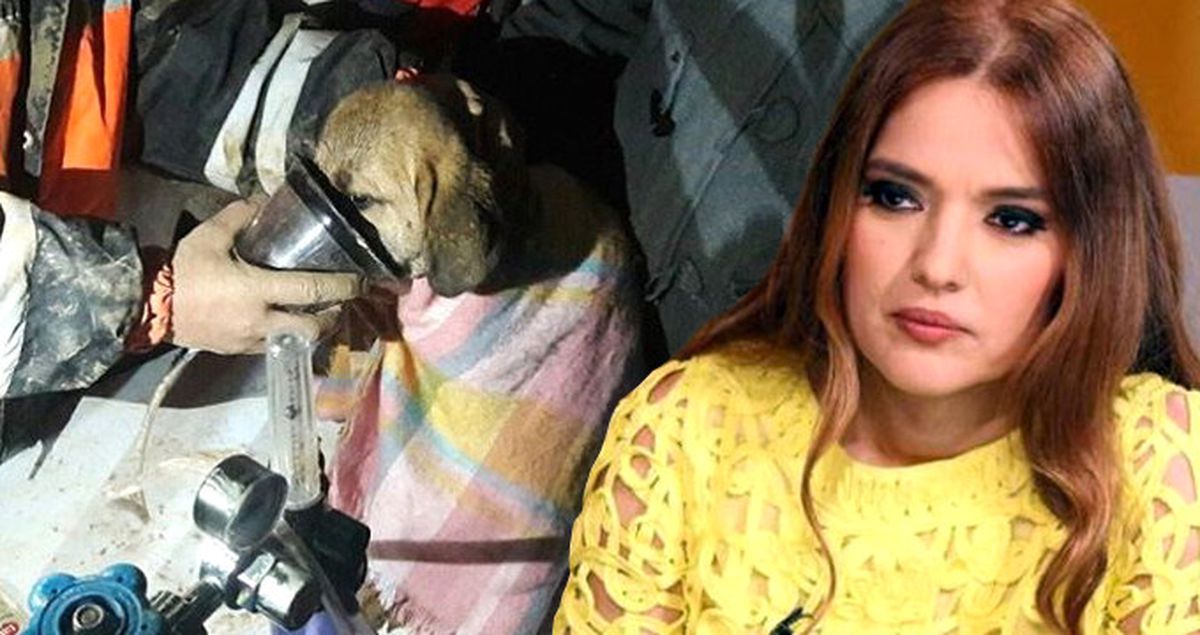 Demet Akalın Instagram'dan Türkiye'nin Alkışladığı Daveti Yaptı