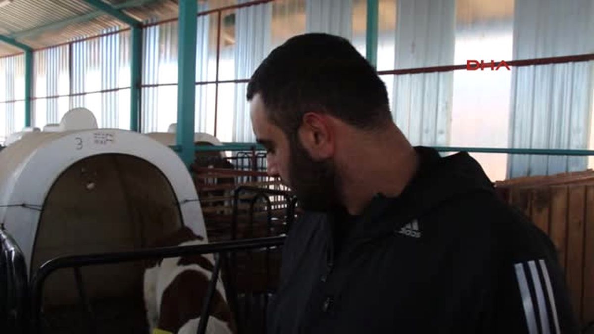 Burdur Besihanede 'Buzağı Kreşi'