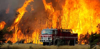 Avustralya'da Yangınlar