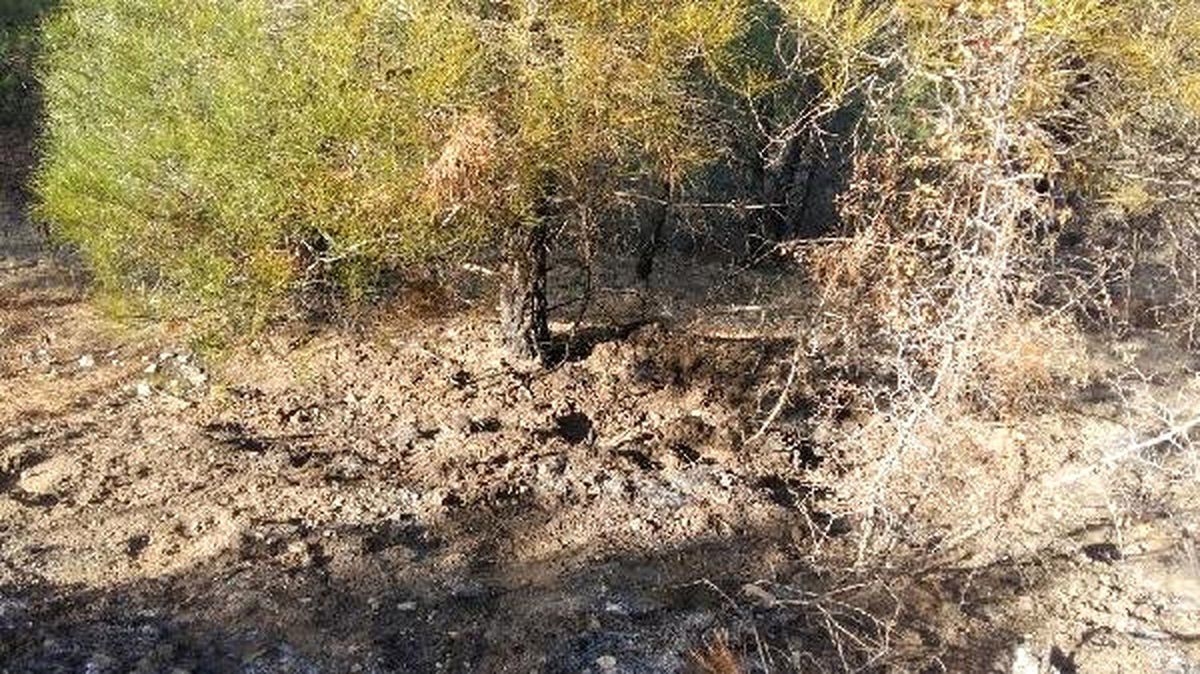 4 Günden Ormanı Yakmaye Çalışan Şüpheli Yakalandı
